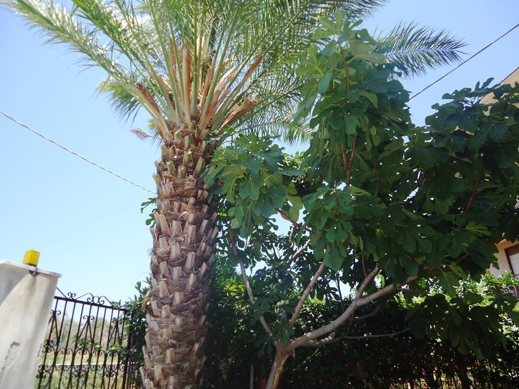 לינה וארוחת בוקר קלטביאנו Ciuscia מראה חיצוני תמונה